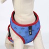 Harnais pour Chien DC Pets Bleu M/L