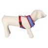 Harnais pour Chien DC Pets Bleu M/L