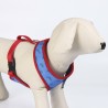 Harnais pour Chien DC Pets Bleu M/L