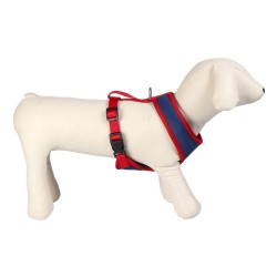 Harnais pour Chien DC Pets Bleu M/L