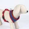 Harnais pour Chien DC Pets Bleu S/M