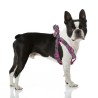 Harnais pour Chien Superman Rose M/L