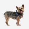 Harnais pour Chien Star Wars Noir S/M