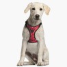 Harnais pour Chien Minnie Mouse XXS/XS Rouge