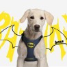 Harnais pour Chien Batman XXS/XS Bleu