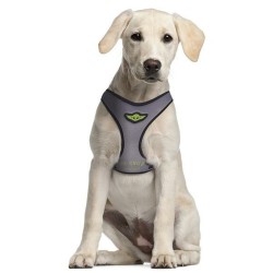 Harnais pour Chien The Mandalorian XXS/XS Gris