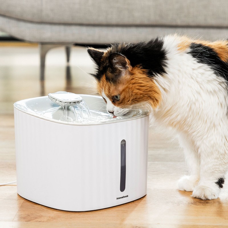 Fontaine pour Animaux de Compagnie Drinkatt InnovaGoods