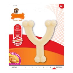 Jouet pour chien Nylabone...