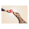 Jouet pour chien Gloria Distributeur Confiseries Caoutchouc (12 cm)