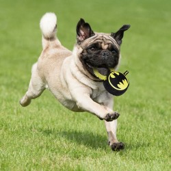 Jouet pour chien Batman   Jaune 100 % polyester