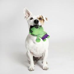 Jouet pour chien The Avengers Vert 100 % polyester