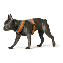 Harnais pour Chien Hunter London Comfort 48-56 cm Orange Taille S/M