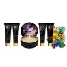 Kit Grand Plaisir Shunga Geisha's Secret Fruits Mini