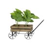 Chariot de Jardin DKD Home Decor 55 x 28,5 x 55 cm Sapin Noir Métal Brun foncé Plante Cottage