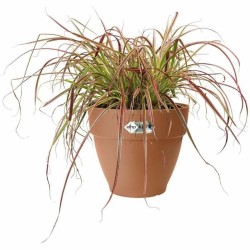 Pot Elho   Ronde Anthracite Plastique Ø 30 cm