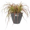 Pot Elho   Ronde Anthracite Plastique Ø 40 cm