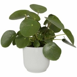 Pot Elho   Ø 25 cm Ronde Blanc Plastique