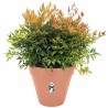 Pot Elho   Ronde Blanc Plastique Ø 30 cm