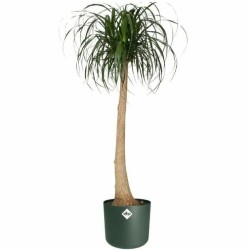 Pot Elho   Ø 25 cm Vert Plastique Ronde