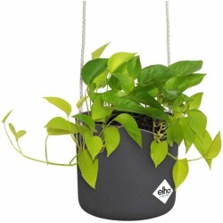 Jardinière suspendue Elho   Noir Ronde Anthracite Plastique Ø 18 cm