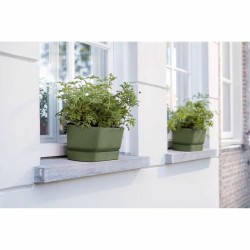 Jardinière Elho   50 cm Noir Plastique Ovale