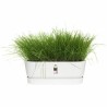 Jardinière Elho   50 cm Blanc Plastique Ovale