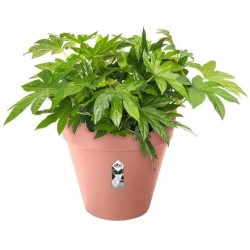 Pot Elho   Ø 50 cm Ronde Plastique