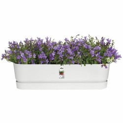 Jardinière Elho   Blanc 70 cm Plastique Ovale