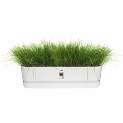 Jardinière Elho   Blanc 70 cm Plastique Ovale