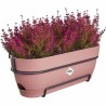 Jardinière Elho   50 cm Rectangulaire Rose Plastique