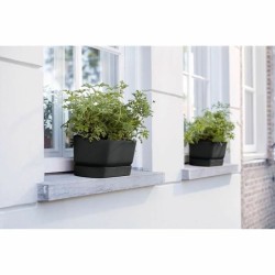 Jardinière Elho   Noir 70 cm Plastique Ovale