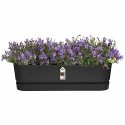 Jardinière Elho   Noir 70 cm Plastique Ovale