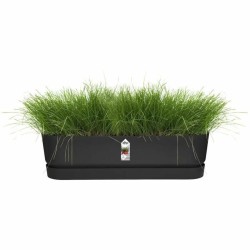 Jardinière Elho   Noir 70 cm Plastique Ovale