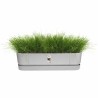 Jardinière Elho   Gris 70 cm Plastique Ovale