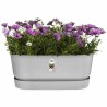 Jardinière Elho   Gris 60 cm Plastique Ovale