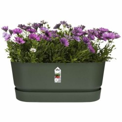 Jardinière Elho   60 cm Vert Plastique Ovale