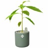 Pot Elho Amazing Avocado Ronde Vert Plastique Ø 16 cm