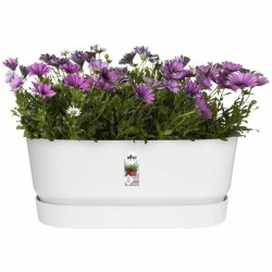 Jardinière Elho   Blanc 60 cm Plastique Ovale