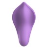 Vibrateur G-Spot Liebe Candy Rose Violet