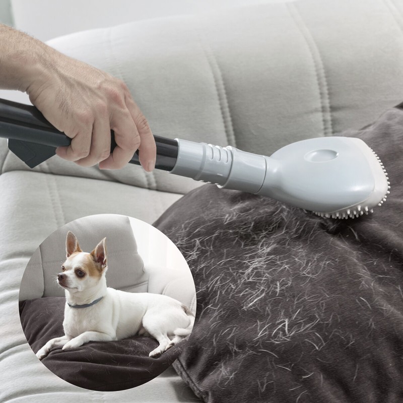 Brosse pour Aspirateur Smoovah InnovaGoods (Reconditionné A)