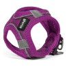 Harnais pour Chien Gloria Air Mesh Trek Star Réglable Violet L (33,4-35 cm)