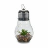 Lampion Guirlandes Ampoule Cactus Verre (8 Unités)