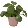 Pot Elho Rose Plastique Rond Ronde Moderne Ø 25 cm