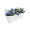 Pot Elho 7542655315000 Blanc Plastique Carré 53 x 27 cm