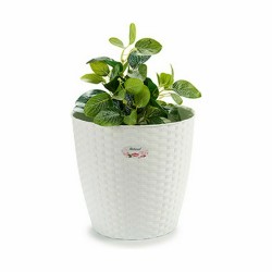 Cache-pot Stefanplast Blanc Plastique 29 x 27 x 29 cm (6 Unités)