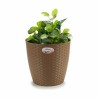 Cache-pot Stefanplast Marron Plastique 29 x 27 x 29 cm (6 Unités)