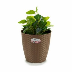 Cache-pot Stefanplast Marron Plastique 24 x 22,5 x 24 cm (6 Unités)