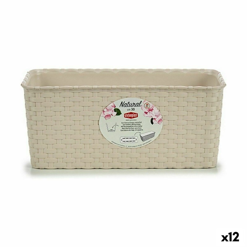 Jardinière Stefanplast Camel Plastique 13 x 11 x 29 cm (12 Unités)