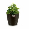 Cache-pot Stefanplast Plastique 29 x 26,5 x 29 cm (6 Unités)