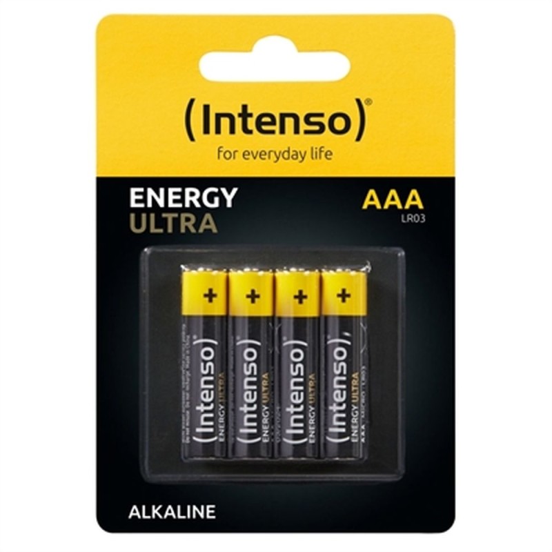 Batteries INTENSO 7501414